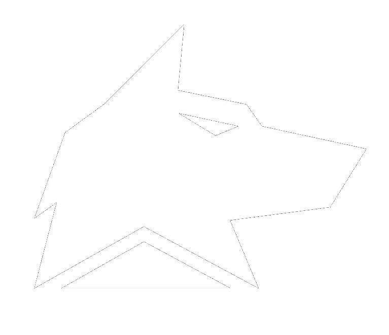 hack.sale - Магазин приватных читов Fecurity